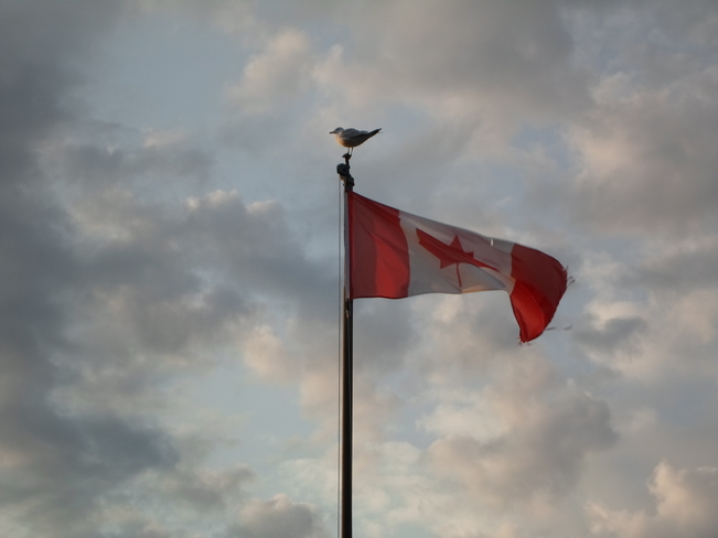 Not an EASY LANDING/on the TIP OF A FLAG POLE/Elliot lake Elliot Lake, Ontario Canada