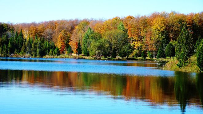 Fall beauty Bruce County, ON