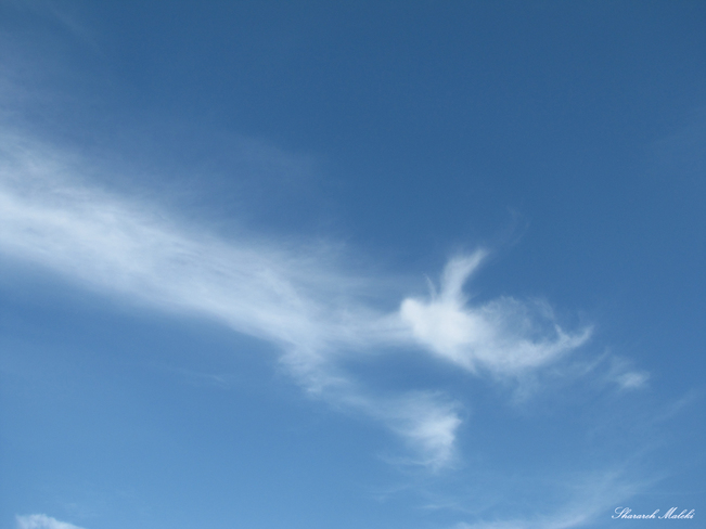 Angel Mermaid cloud Montreal, QC