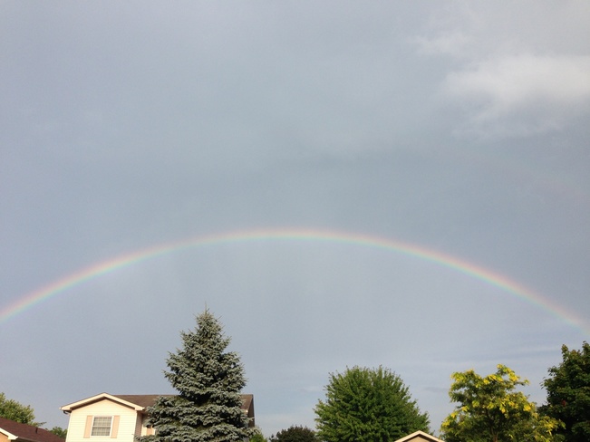 Rainbow of colours! Aylmer, Ontario Canada