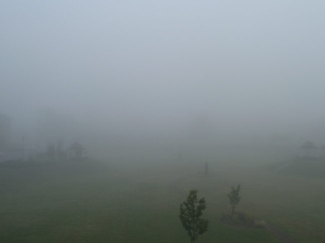 Un matin de calme...dans le brouillard Boucherville, QC