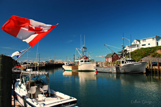 Fly That Flag Halls Harbour, NS