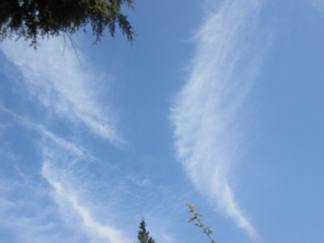 sky art Surrey, BC