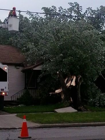 lighting hit tree and fell on house Windsor, ON