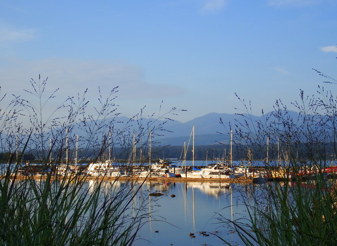 View of the Comox Harbour 132 Port Augusta Street, Comox, BC V9M 3N8, Canada