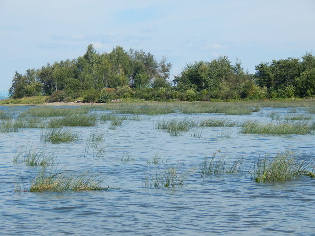 The Marsh Atholville, NB