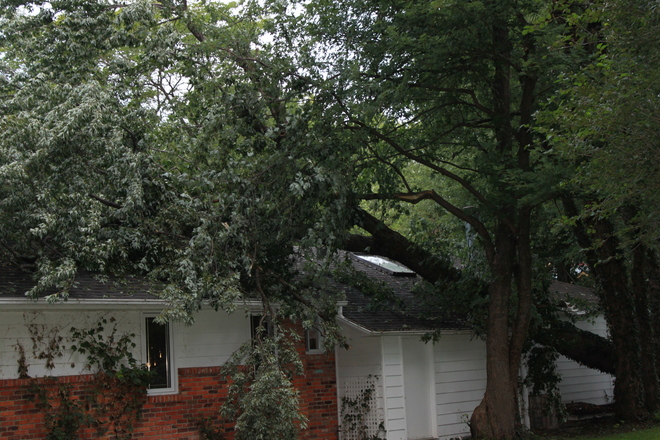 Storm of August 26, 2014 implanted a large limb in the second floor of house. Puce, Lakeshore, ON