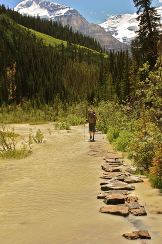 Canmore Hiking Trail 