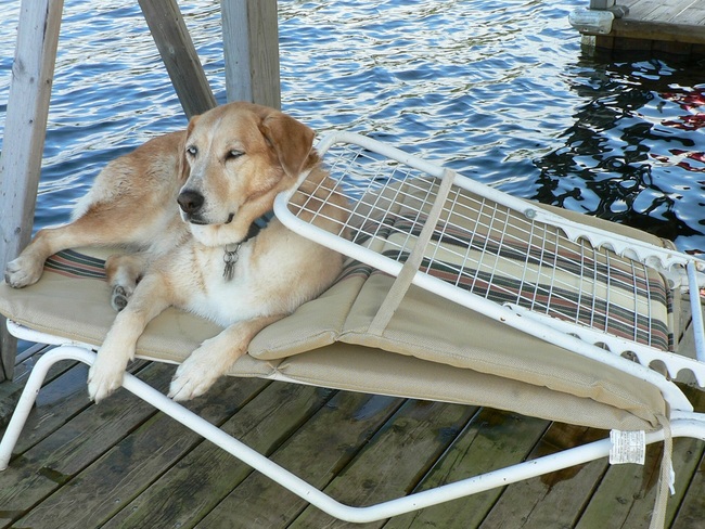 Comfy ! Channel Island, Lake of the Woods, Kenora, Unorganized, ON