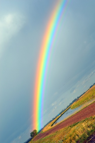 Beautiful Rainbow Brooks, Alberta Canada