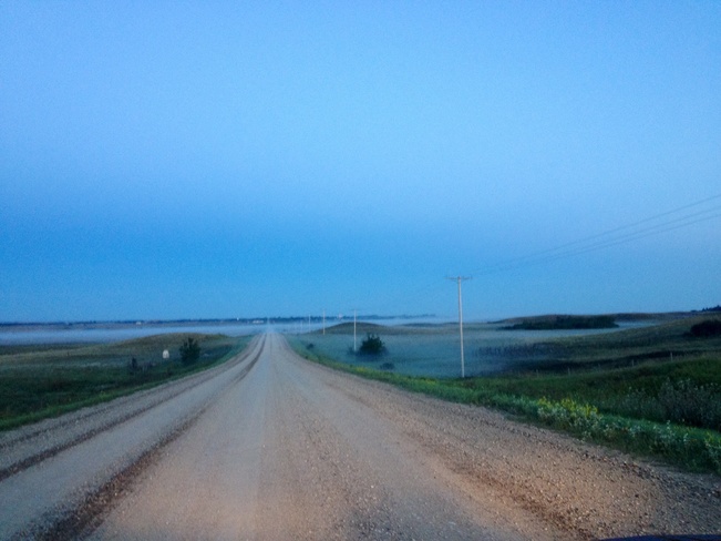 Morning Fog Ahead Young, Saskatchewan Canada