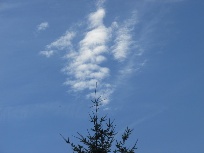angel tree topper?? Surrey, BC