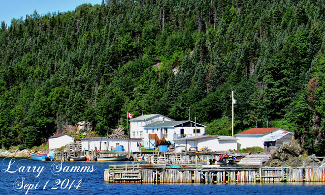 "Purbeck's Cove" Westport, Newfoundland and Labrador Canada