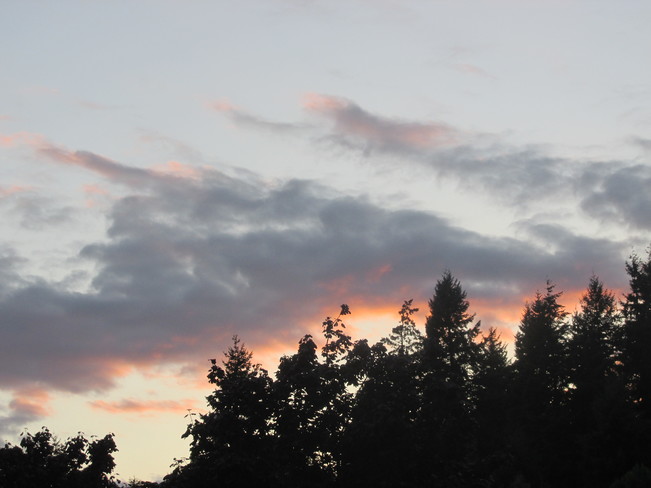pastel skies Surrey, BC