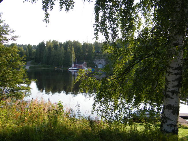 Morning stillness on the river Leppävirta, Finland