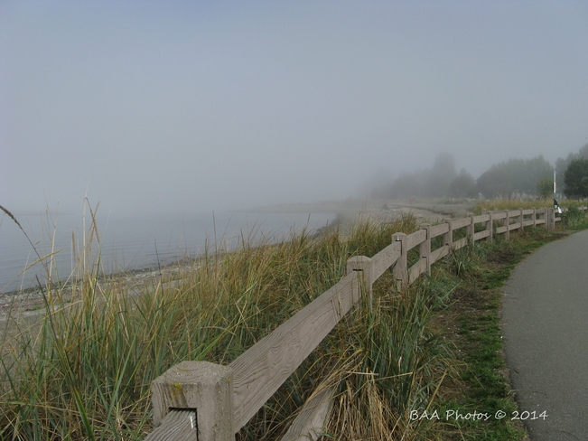 Fog yesterday at the beach in Parksville BC Parksville BC