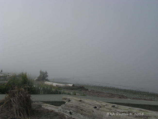 Fog yesterday at the beach in Parksville BC Parksville BC