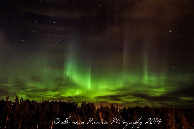 aurora Red Deer, Alberta Canada