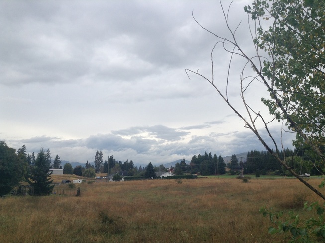an overcast Autumn morning Enderby, British Columbia Canada