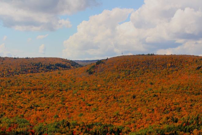 Fall Festival of Colours - Oct. 11&12 at Ski Wentworth Ski Wentworth, Nova Scotia Trunk 4, Wentworth Valley, Nova Scotia