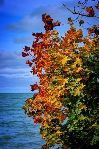 Autumn by the Lake Goderich, ON
