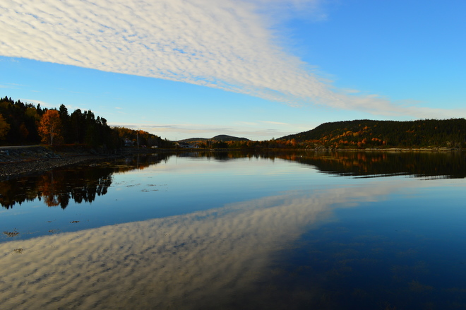 Awesome Fall Morning Culls Harbour, NL