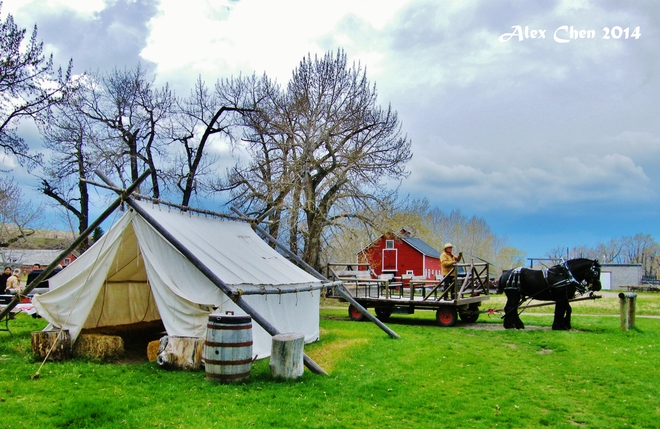 2014-Bar U Ranch National Historic Site Alberta