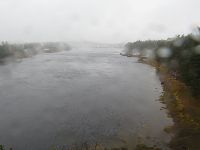 wet weather Marystown, Newfoundland and Labrador
