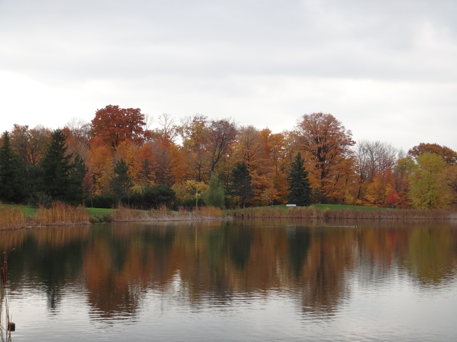 Centennial Park Lake. Toronto, ON