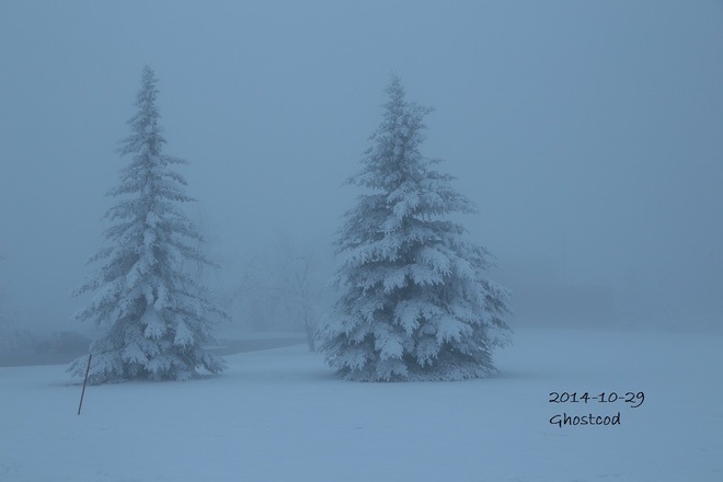 Snow and Fog Swan Hills, AB