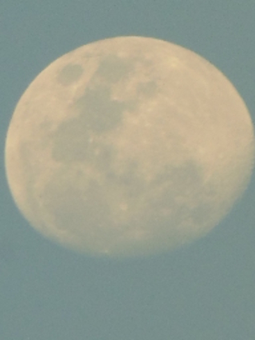 Photos of The Moon Fazes 33 Lady Ann's Road, Holkham, Wells-next-the-Sea, Norfolk NR23 1RJ, UK