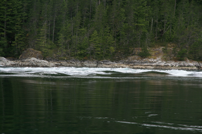 tidal currents Campbell River, BC