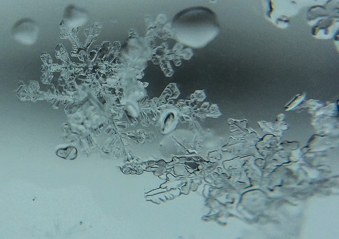 Snowflakes upclose London, Ontario Canada