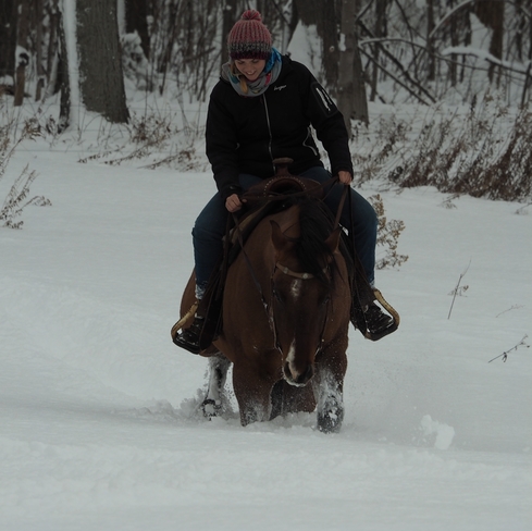 Horse Riding in this Beautiful Snow Chesley, ON