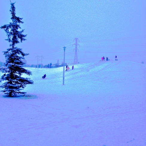 Let's go sledding ! Twin Brooks, Alberta Canada