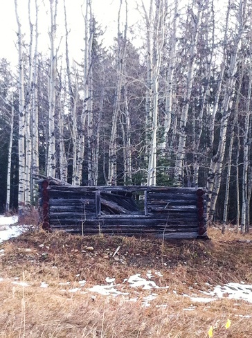 old log home Bragg Creek, Alberta Canada