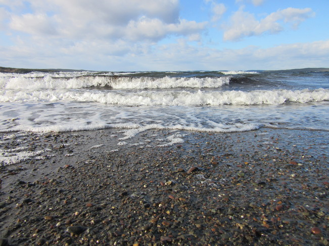 More Waves Birchy Bay, NL