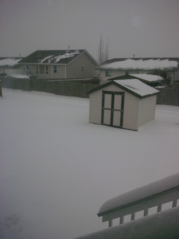 Welcome snow Ponoka, Alberta Canada