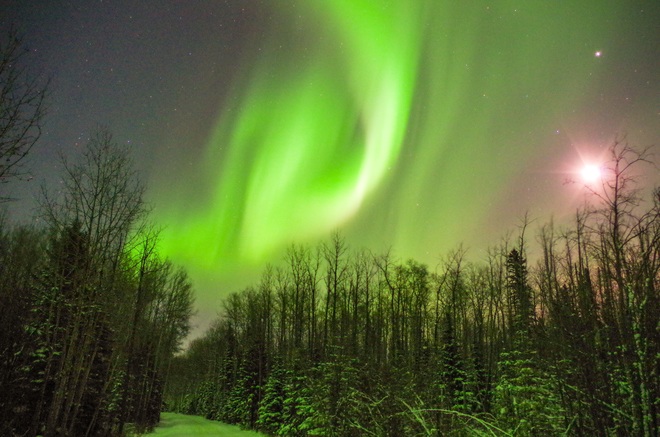 Northern lights ,and the moon. Fort McMurray, Alberta Canada