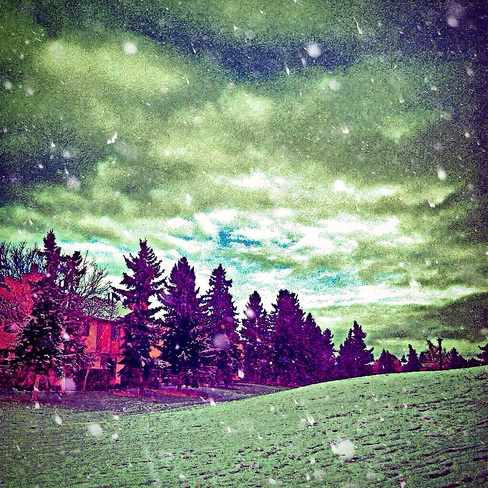 Winter Wonderland ! Twin Brooks, Alberta Canada