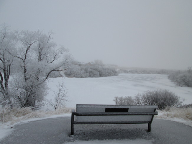 Winter Fog Kindersley, SK