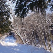 Sentier de neige