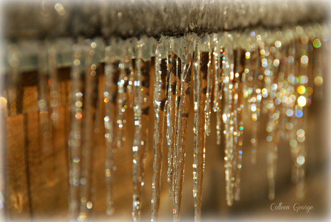 Bejeweled Icicles Centreville, NS