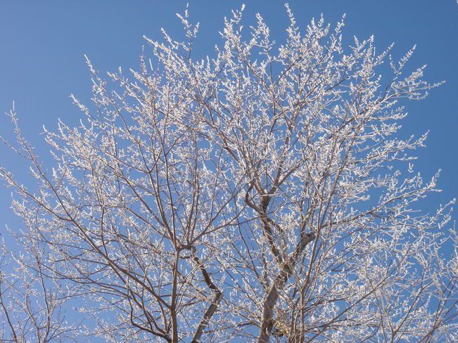 Ciel d'hiver Farnham,Québec