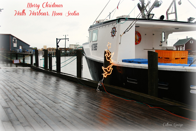Merry Christmas from Hall's Harbour Hall's Harbour, NS