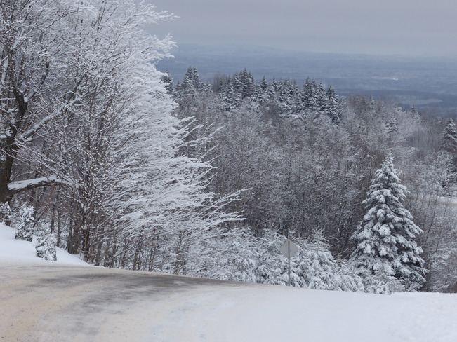 Apercue d'une route hivernale sinueuse Ste - Louise - des -Aulnaies ( Québec )
