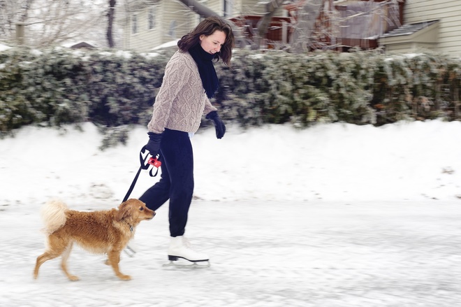walking dog on ice skates Ottawa, Ontario Canada