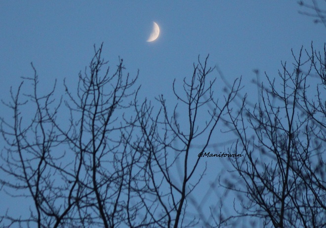 Woodlands Moon burnaby, bc
