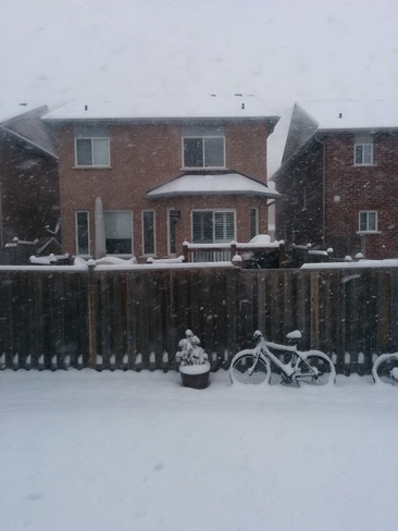 Jan 26th Snow Squall in Burlington Burlington, ON