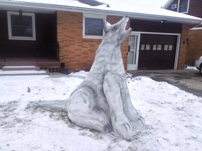Snow Wolf Leamington, ON